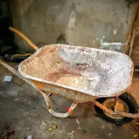 فرقون سالم و سبک