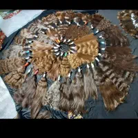 فروش نچرال مو