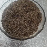 محصولات خشکبار