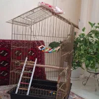 قفس کلبه ای طلایی