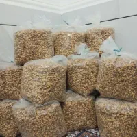 تخمه هندوانه