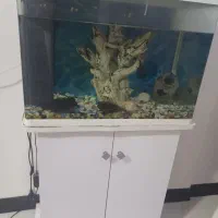 اکواریوم شرکتی شیشه خم