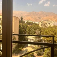 اپارتمان ۱۸۵ متر / محصور در باغ چنار|فروش آپارتمان|تهران, باغ فردوس|دیوار