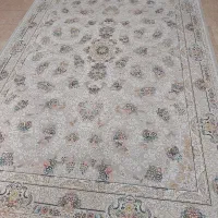 فرش امیرزاده دوتخته فرش ۶متری ۱۲۰۰شانه فیلی|فرش|مشهد, شاهد (شهرک غرب)|دیوار