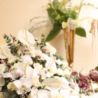 عکاسی از مجالس خانگی|خدمات پذیرایی، مراسم|تهران, جماران (نیاوران)|دیوار