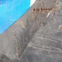 کاپوت و درب برلیانس