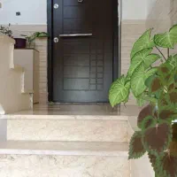 رهن