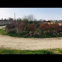 خونه باغ نیمه اماده به متراژ ۸۰۰متر|فروش خانه و ویلا|گلوگاه, |دیوار