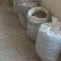 فروش گردو|خوردنی و آشامیدنی|مرند, |دیوار