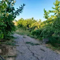 باغ|فروش زمین و ملک کلنگی|مشهد, توس فردوسی|دیوار