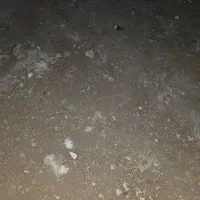 ملک مسکونی.