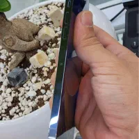 13promax /za|موبایل|کرمان, |دیوار