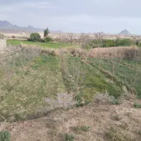 زمین کشاورزی با آب و خاک مرغوب عالی تقاب