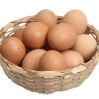 تخممرغ محلی وخانگی