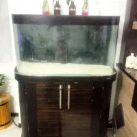 آکواریوم زیبا وبزرگ