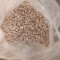لوبیا چیتی