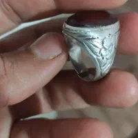 فقط معاوضه با کلاغ کربلای|کلکسیون و سرگرمی|مشهد, توس فردوسی|دیوار