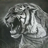 فروش تابلو سیاه قلم ببر سایز بزرگ