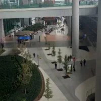 تمیز کاری و نظافت