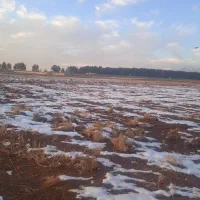 فروش-زمین-کشاورزی