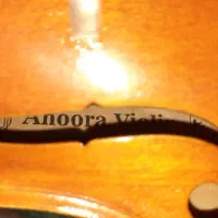 ویولن سایز 4/4|ویولن|شیراز, احمدآباد|دیوار