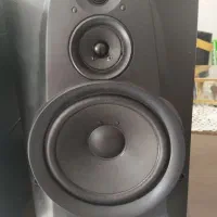 باند وکلگی سونی