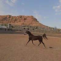 به دلیل کمبود وقت به فروش میرسد.