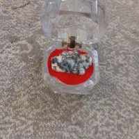 سنگ شجر و نگین