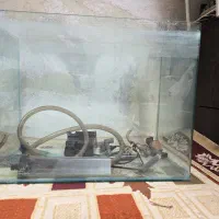 آکواریوم شیشه خم شرکتی