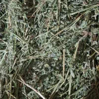 یونجه خشک