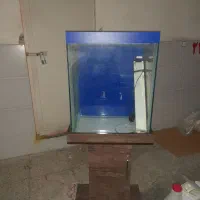 آکواریوم ۶۰×۳۰×۵۰|ماهی|تهران, فلاح|دیوار