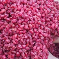 فروش زعفران دست اول و باقیمت مناسب از قاینات|خوردنی و آشامیدنی|تهران, چیتگر جنوبی|دیوار