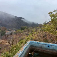 چهار-دیوای-سقف-زده-فروشی