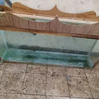 اکواریوم