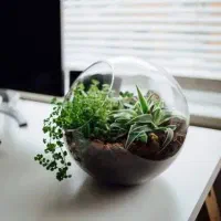 کوچینگ و توسعه فردی