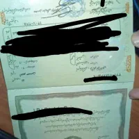 دوعددشناسنامه گم شده