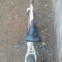 دوچرخه سفید20|دوچرخه، اسکیت، اسکوتر|تربت جام, میان جام|دیوار