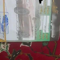 سمند90lxموتور پژو دوره رنگ|خودرو سواری و وانت|سلماس, |دیوار