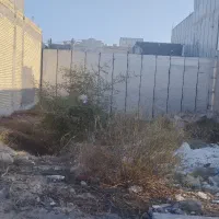 فروش زمین خیابان دوستی مال خلیفه ای|فروش زمین و ملک کلنگی|بندر گناوه, |دیوار