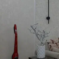 جاروبرقی