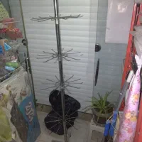 رگال گردون