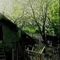 توربگوده-با-پروانه