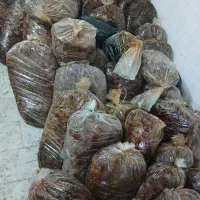 خرما|حراج|خمینی‌شهر, |دیوار