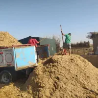 کاهنیشکرباگاس