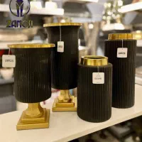 گلدان های وارداتی رنگ ثابت