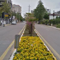 455-متری-دربهترین-خ-دریاگوشه-فروش-ومعاوضه