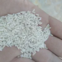 سر لاشه هاشمی و نیم دانه هاشمی