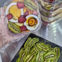 محصولات فریزداریر(بستنی خشک میوه خشک)