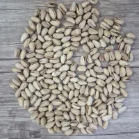 پسته اکبری انس ۲۷