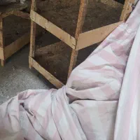 قفس کبوتر کفتر جفتگاه مفت مفت